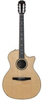 TaylorTaylor Get One Gift One Taylor 814ce N Nylon Crossover