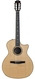 TaylorTaylor Get One Gift One Taylor 814ce N Nylon Crossover