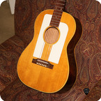 Gibson-F-25 Folk Singer -1963