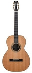 BSG OM27F Nylon Cedar Rosewood Recent