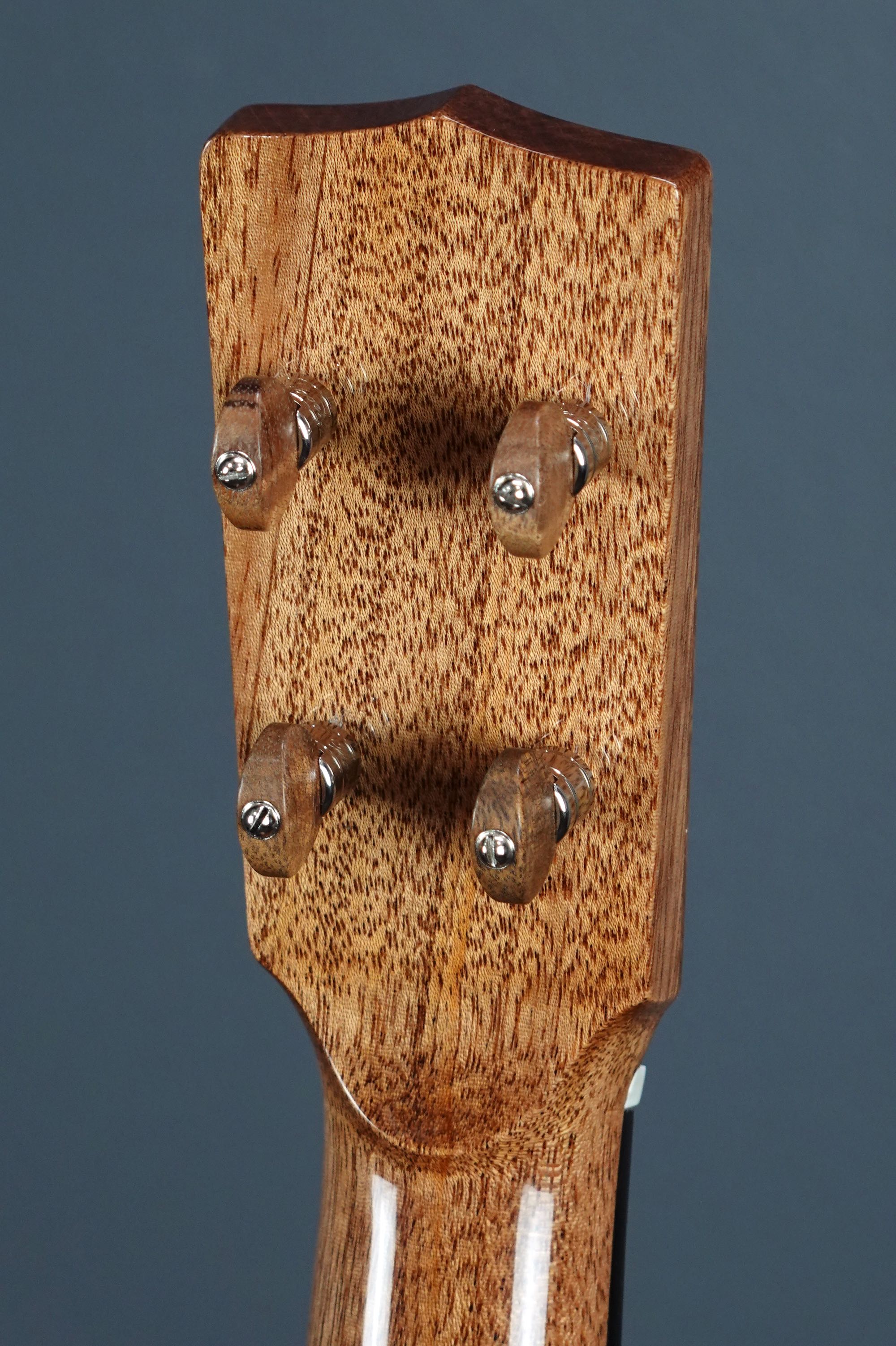 M.j.franks Koa Concert Ukulele 2021 Natural Stringed Instrument For