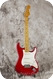 Fender Stratocaster 2010 Transpaent Red Fender Stratocaster 2010 Transpaent Red
