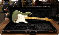 Fender Custom Shop-Stratocaster-2014-Moss Green