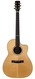 Huss & Dalton CM Indian Rosewood Engelmann Spruce 2010