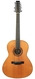 Sergei De Jonge 12 String 1981