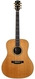 Gibson-Songwriter Deluxe Standard-2009