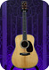 C. F. Martin & Co-D45 Custom Order Cocobolo Ex Don McLean-2016