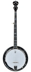 Deering-Calico 5-String Banjo