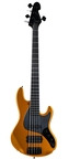 Sandberg-California II TM Nighthawk Plus Copper 5-String