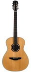 Poljakoff-S1 Rosewood Spruce-2016