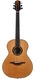 Armin Dreier Concert Cedar Brazilian Rosewood 2015 Armin Dreier Concert Cedar Brazilian Rosewood 2015