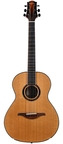 Armin Dreier-Concert Cedar Brazilian Rosewood-2015