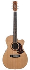 Maton-SRS 808c