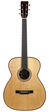 Orla Guitars OM13 Cocobolo Engelmann Spruce