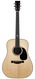 Santa Cruz Tony Rice Dreadnought 7903