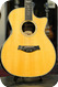 Taylor Guitars Dave Matthews Signature Model  2010-Natural