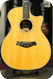 Taylor Guitars Dave Matthews Signature Model 2010 Natural