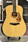 Santa Cruz Guitar Company Custom D Model HHG Package Adirondack Top 2023 Vintage Tinted