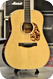 Santa Cruz Guitar Company Custom D Model HHG Package Adirondack Top 2023 Vintage Tinted