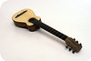 Stoll Guitars Pocket Travel 2023-Nature