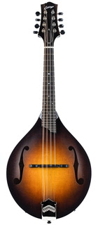 Collings Mt Mandolin