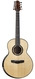 Kevin Ryan Nightingale 10-String Quilted Mahogany