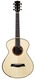 Turnstone Guitars Turnstone TM Indian Rosewood Mastergrade German Spruce