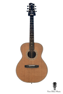 James Olson Sj (james Taylor Series I Options) 2021