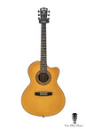 Linda Manzer-Pat Metheny Signature 6 Limited Edition-2016