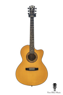 Linda Manzer Pat Metheny Signature 6 Limited Edition 2016
