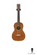 C. F. Martin Co Sting Mini Signature Edition 2005