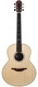 Lowden-F38 Special Edition Batch 45 Indian Rosewood Lutz Spruce-2022