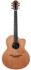 Lowden F35RT Richard Thompson Signature Cedar Ziricote 2019 Lowden F35RT Richard Thompson Signature Cedar Ziricote 2019