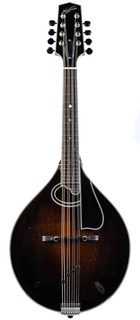 Northfield Nfmsp A4wn A4 Special Alpine Spruce Icelandic Brown