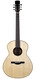 Dion Guitars No. 4 Italian Spruce Figured Mahogany Dion Guitars No. 4 Italian Spruce Figured Mahogany