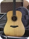 Furch Green D SM 2019 Natural