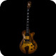Fremediti Guitars Euphony AC P 2025 Violin Burst