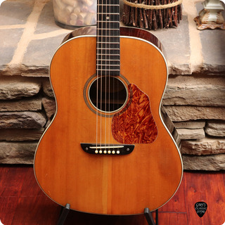 Washburn Guitars Model 5246 Solo Acoustic 1937