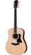 Taylor Legacy 810E
