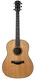 Taylor Builder's Edition 717e