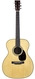 Martin Custom Shop OM28 Adirondack Rosewood 2865275