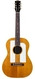 Gibson F25 Folksinger 1966