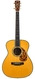 Blueridge BR 283