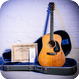 C. F. Martin Co D76 Bi Centenial Model 1976 Natural