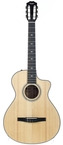 Taylor 312ce N 12 Fret Sapele