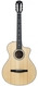 Taylor 312ce N 12 Fret Sapele