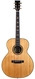 BSG GA35F Curly Laurel 2022