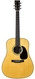 Martin D28 Billy Strings