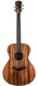 Taylor Jacob Collier Signature Model 5 String