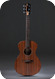 Taylor-Jacob Collier Signature Model 6 String